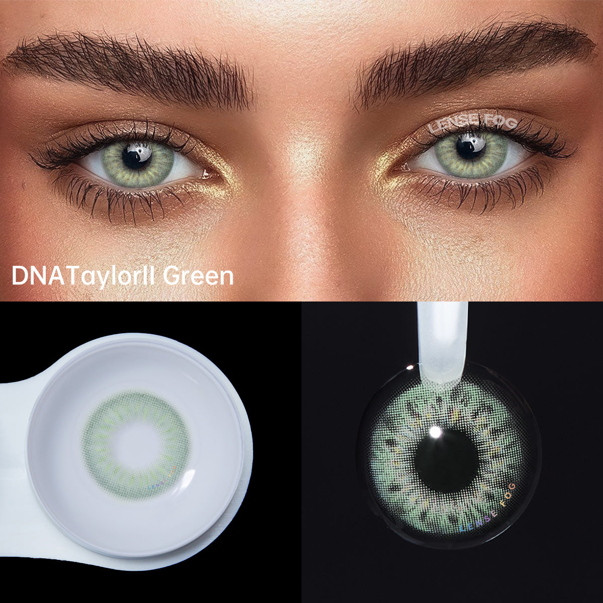 DNA Taylor Green