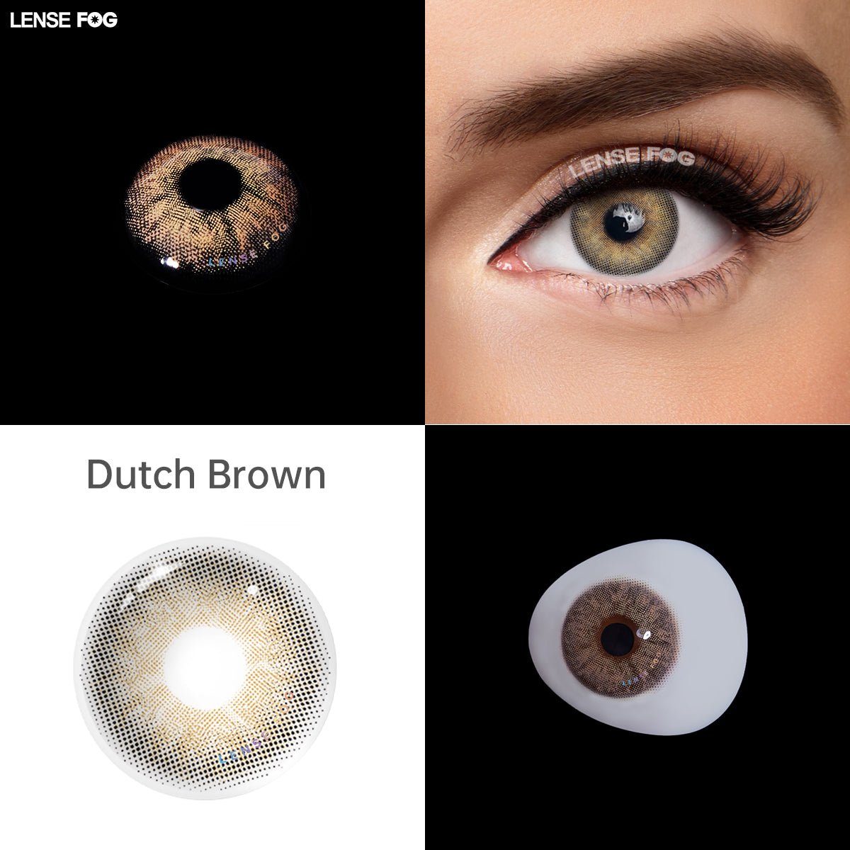 Dutch Eyes Brown